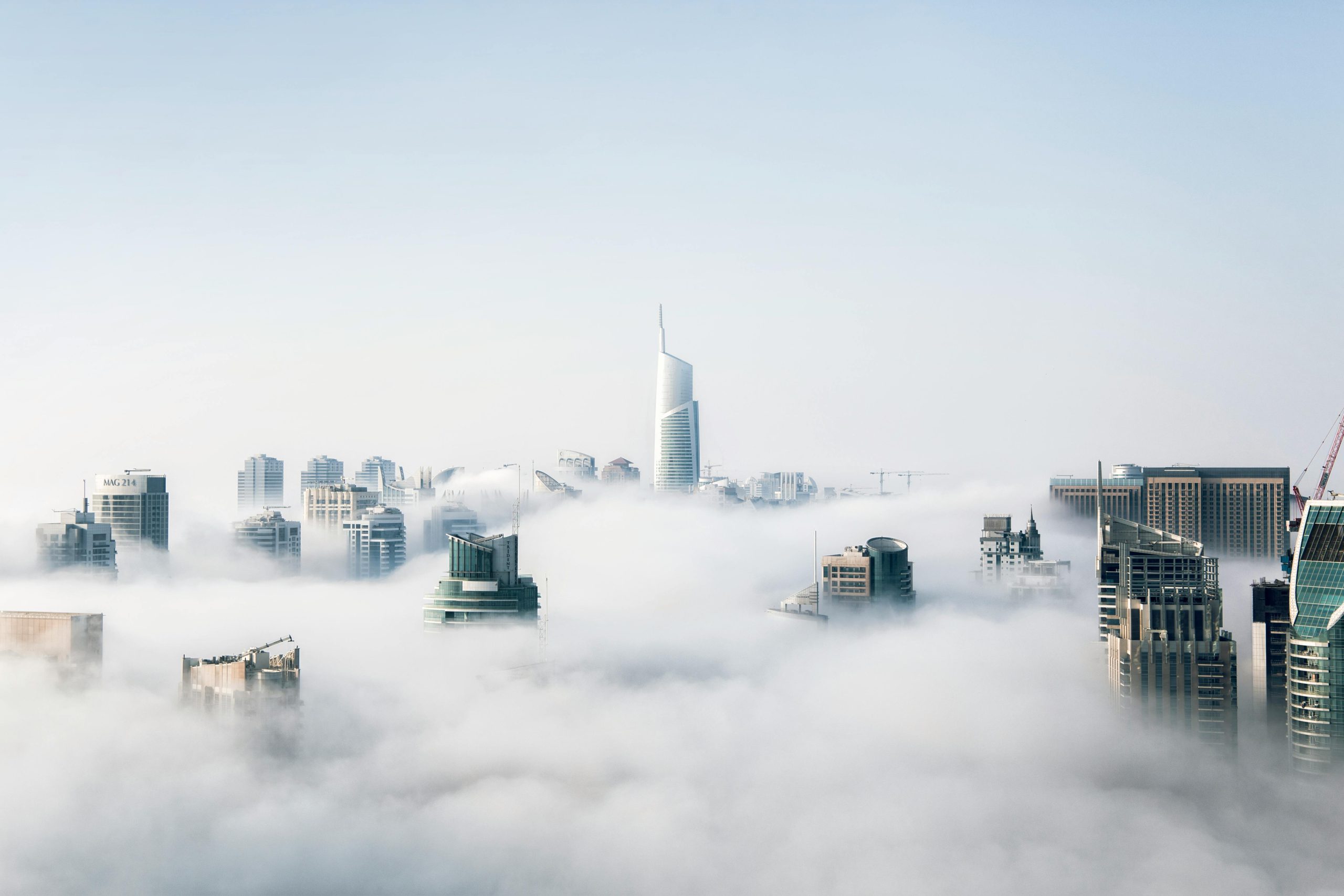 Leading Automation & Analytics: Defining the Landscape